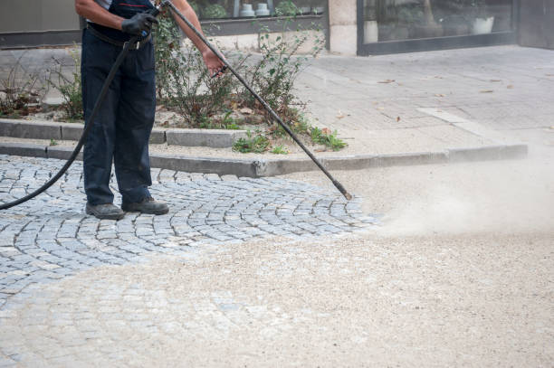 Best Sidewalk and Walkway Cleaning  in Tavares, FL