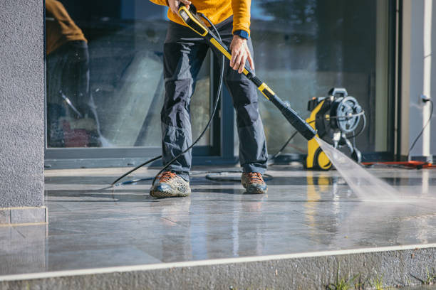 Best Animal Enclosure Cleaning  in Tavares, FL